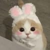 নাসরিন সুলতানা avatar